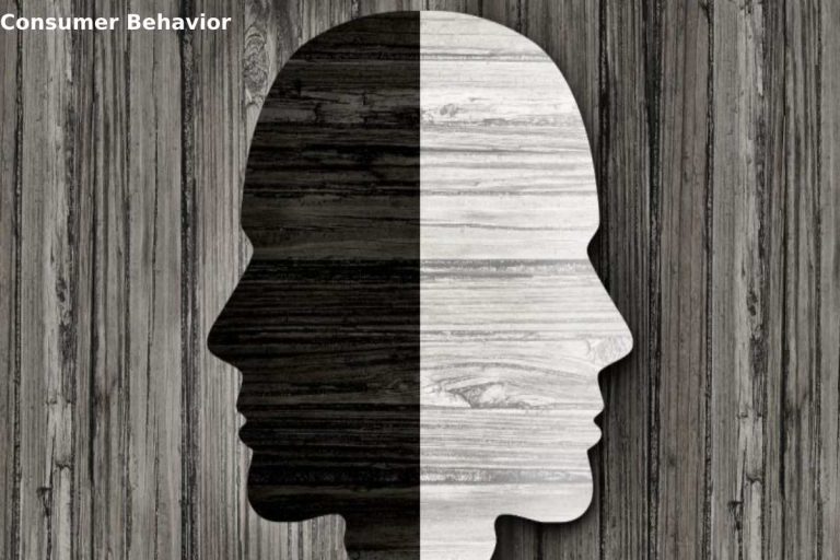 What is the Consumer Behavior? – Important, Factors, and More