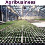 agribusiness