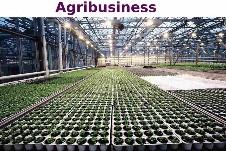 What is Agribusiness? – Components, Types, and More