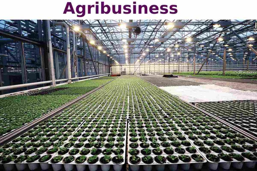 agribusiness