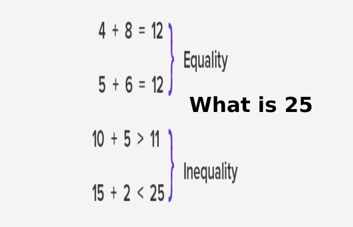 What is 25_ - Is 25 a whole number