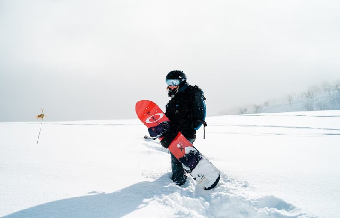 snowboards lib tech