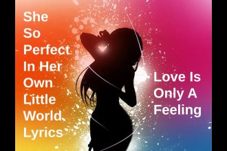 She So Perfect In Her Own Little World Lyrics