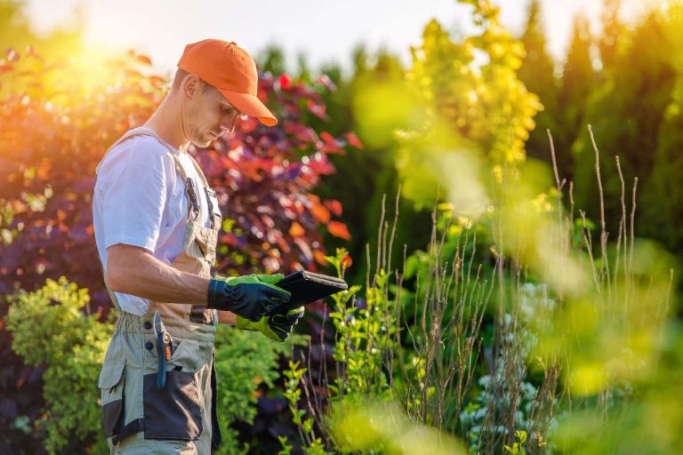6 Ways Field Service Apps Boost Efficiency