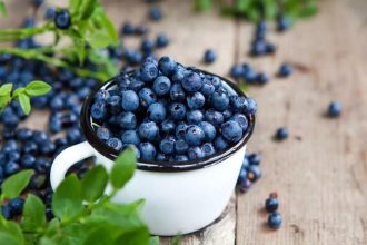 wellhealthorganic.com 10-best-ways-to-use-blueberries