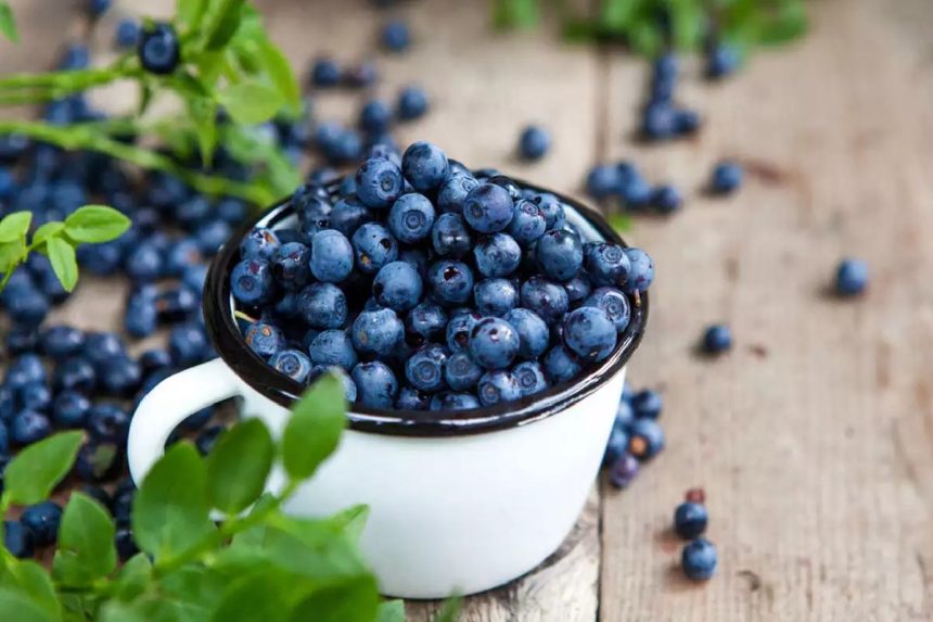 wellhealthorganic.com 10-best-ways-to-use-blueberries