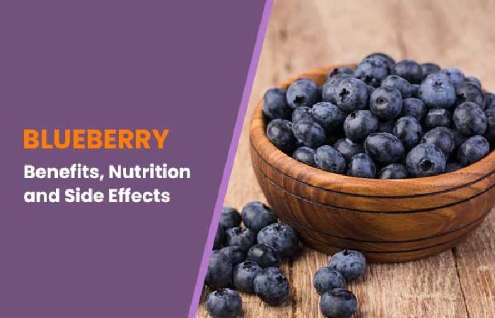 Wellhealthorganic.Com 10-Best-Ways-To-Use-Blueberries Benefits