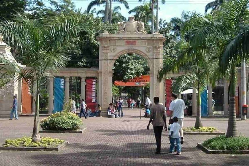Jardim Zoológico Do Rio De Janeiro Fotos